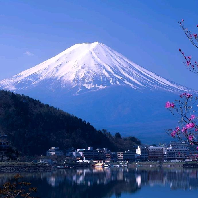 樱花动漫
