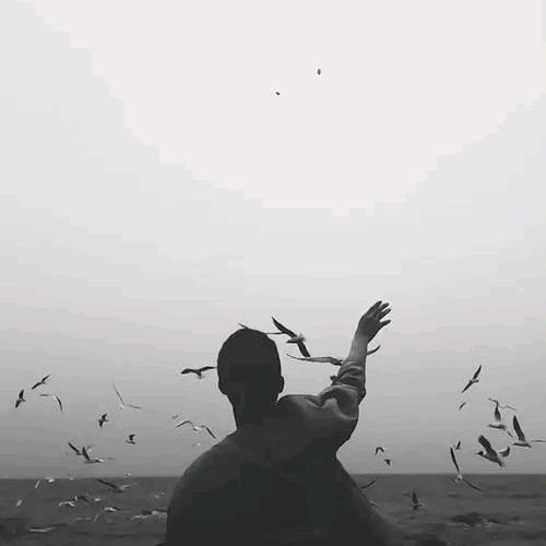 脩