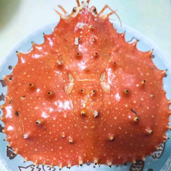 沈阳机床旭哥
