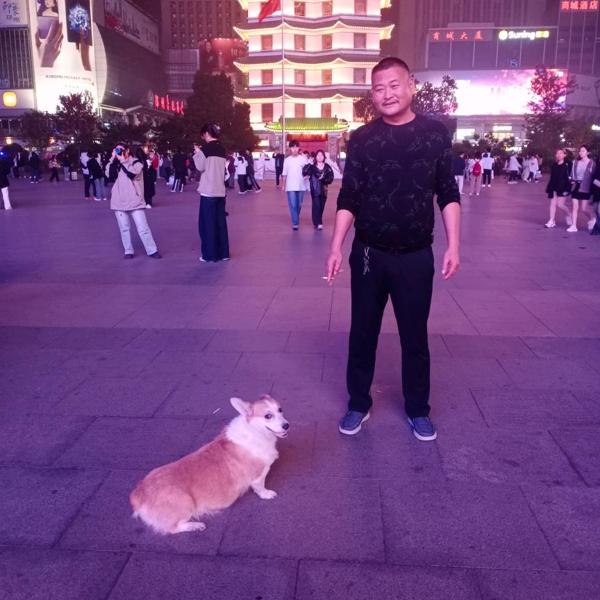 我是一匹受伤的狼