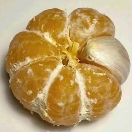 大帅丶核桃