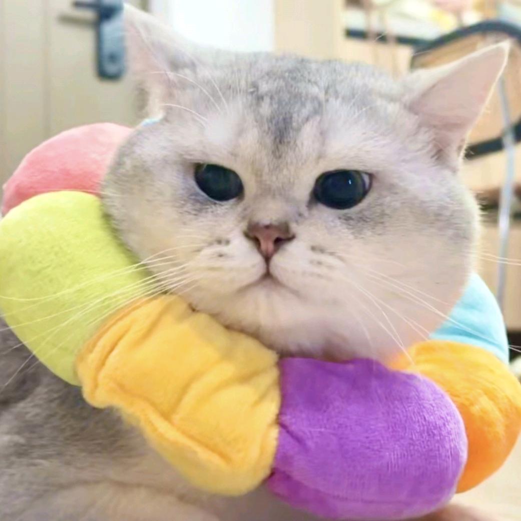 还行一般不要夸