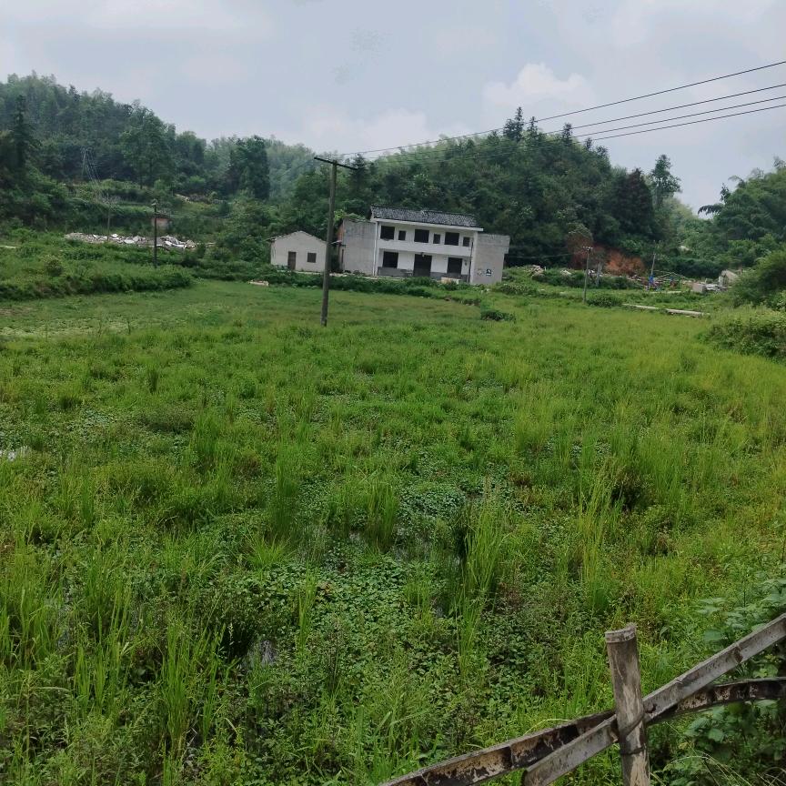 知足常乐,平安是福。