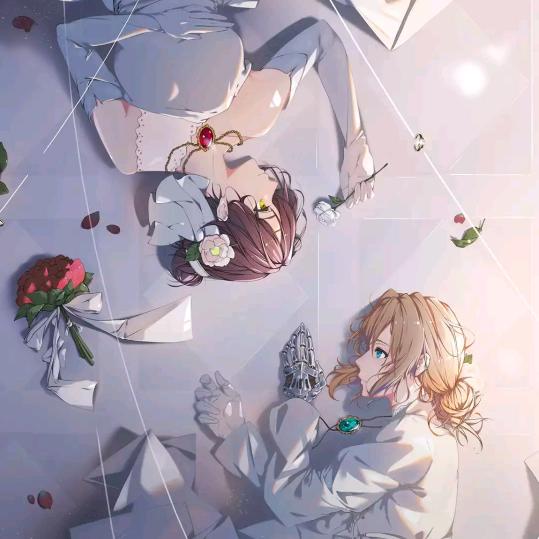 ✨紫罗兰