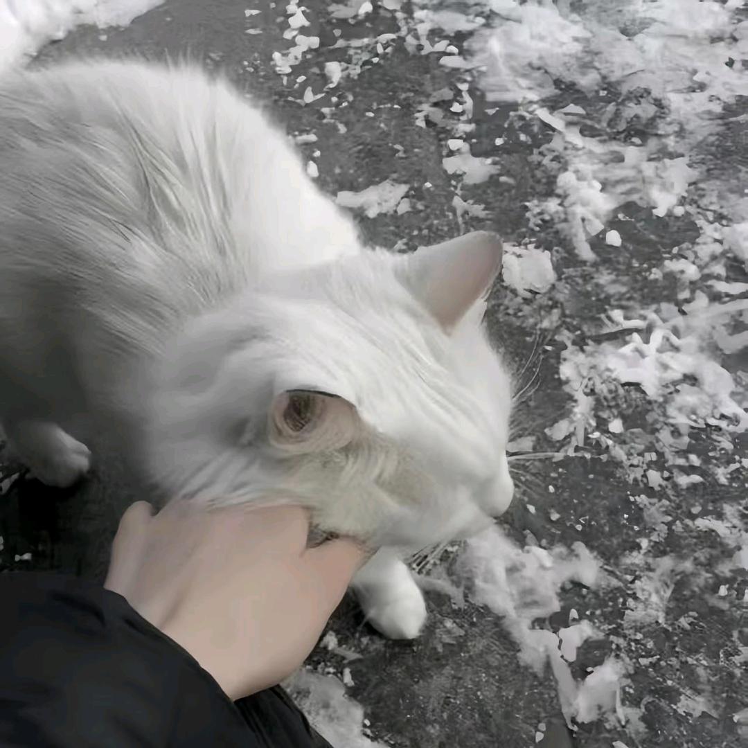 自是人生长恨水长东