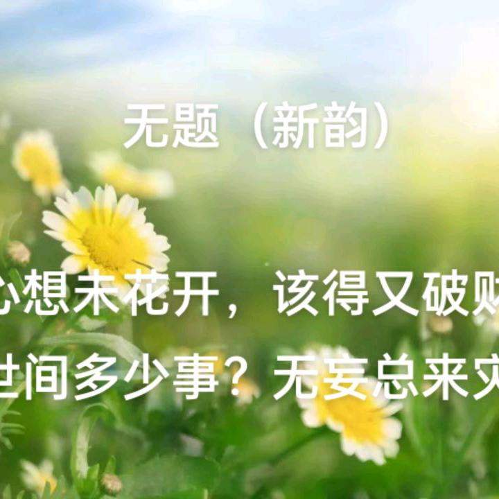 飙哥爱下棋