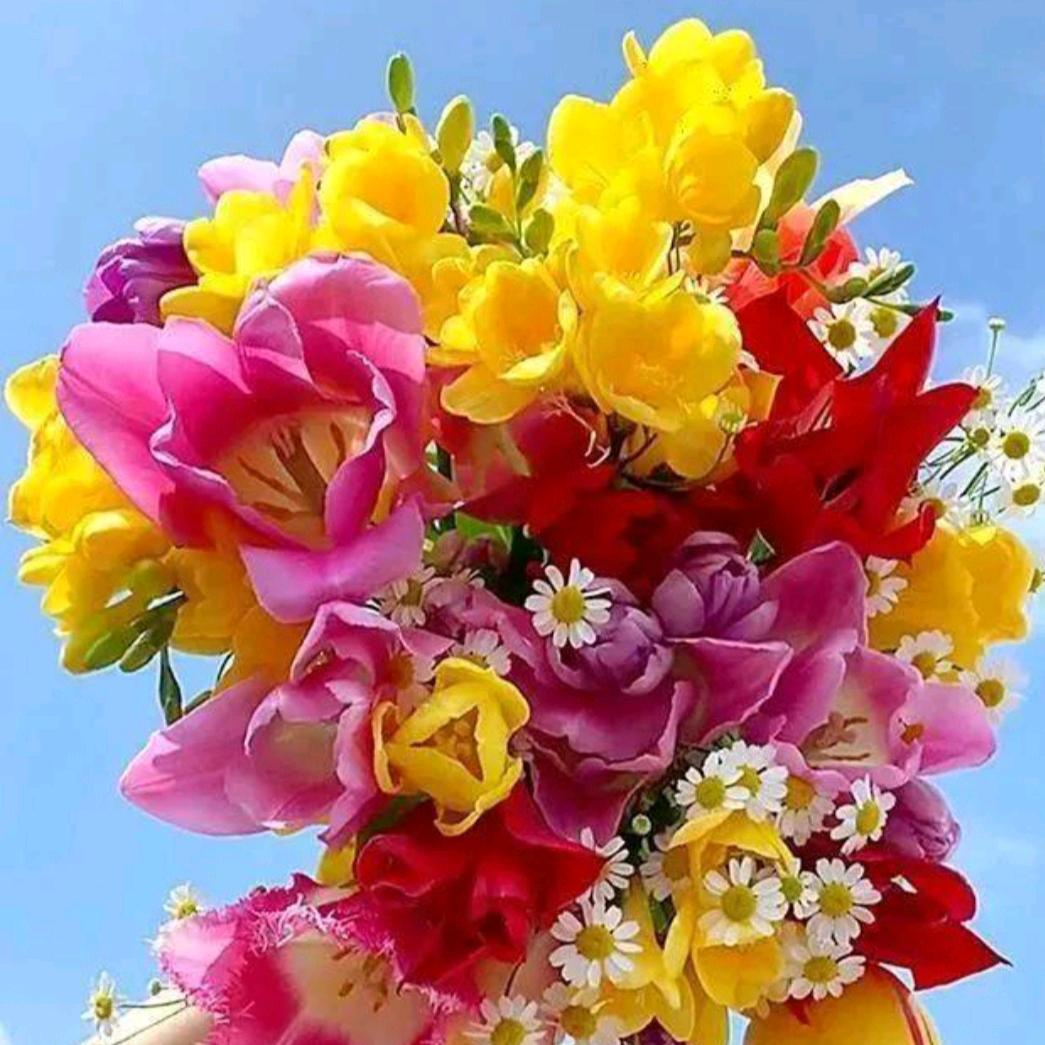 心中有苦说不出