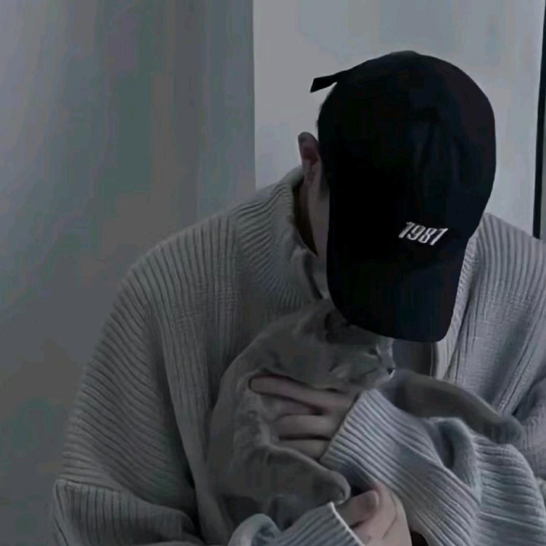 巷子口的猫🐱