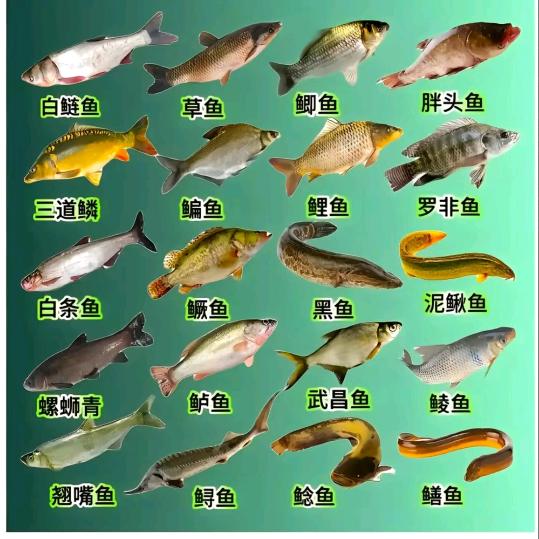 我是聋人