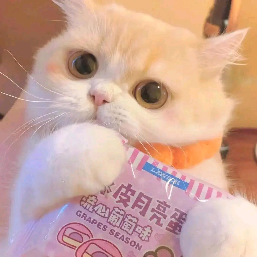 🍓是妳的🉐福福宝贝鸭~🍎🍉