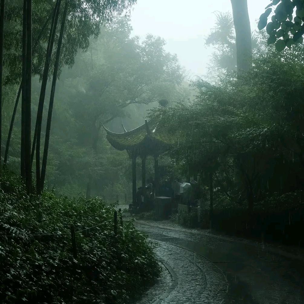 智者不坠爱河