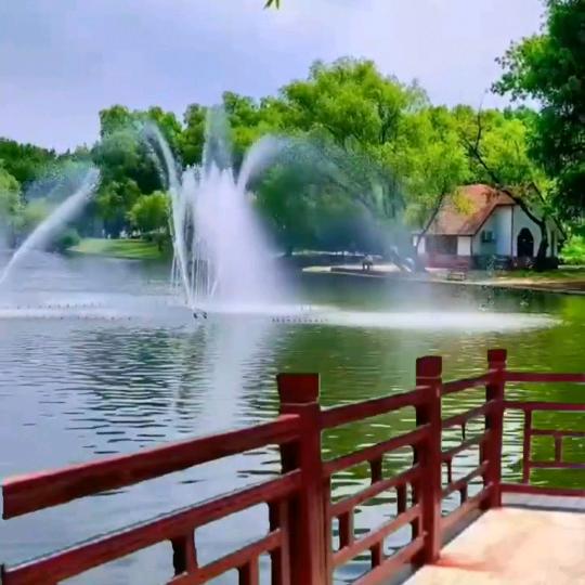 九儿（早上10：30首播）