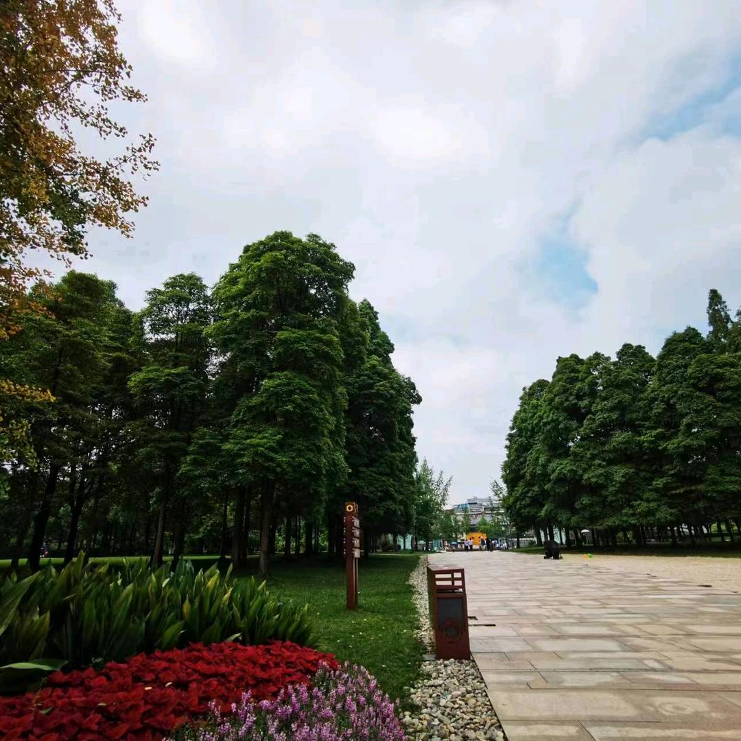 静心未来