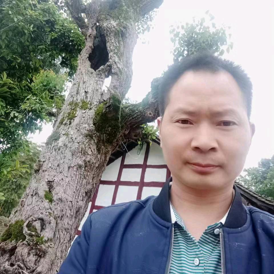 石来运来