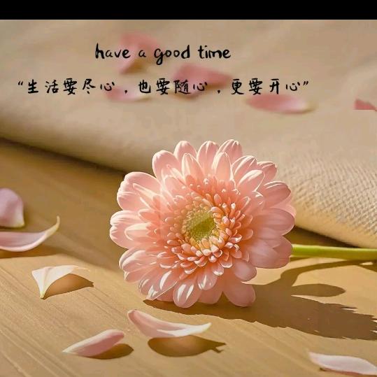 风景依然