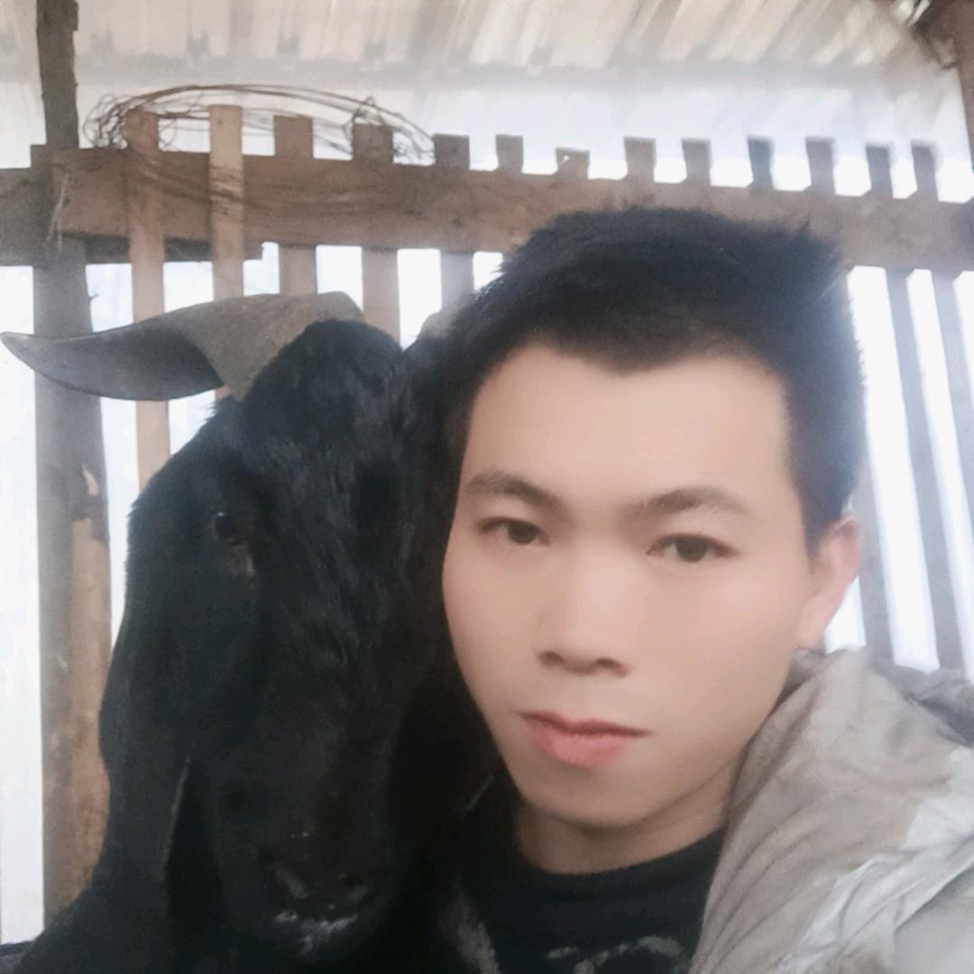 开阳放羊人（小颜）