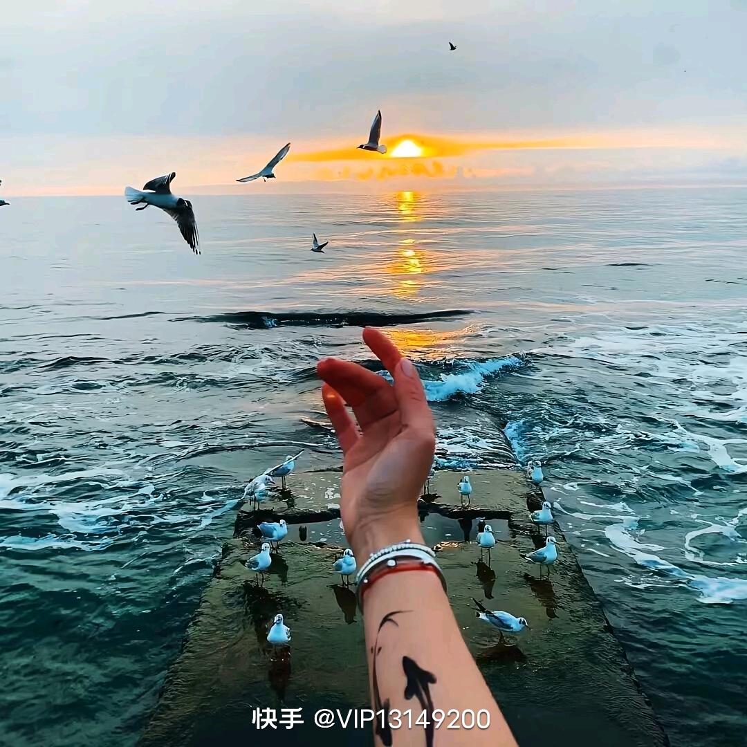 ☞柠愿☜