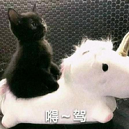 李尧涛