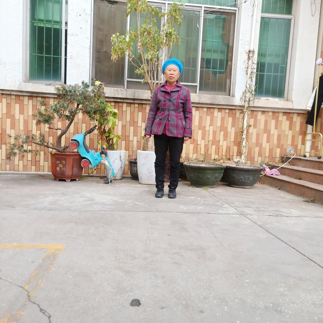开开心心🌹