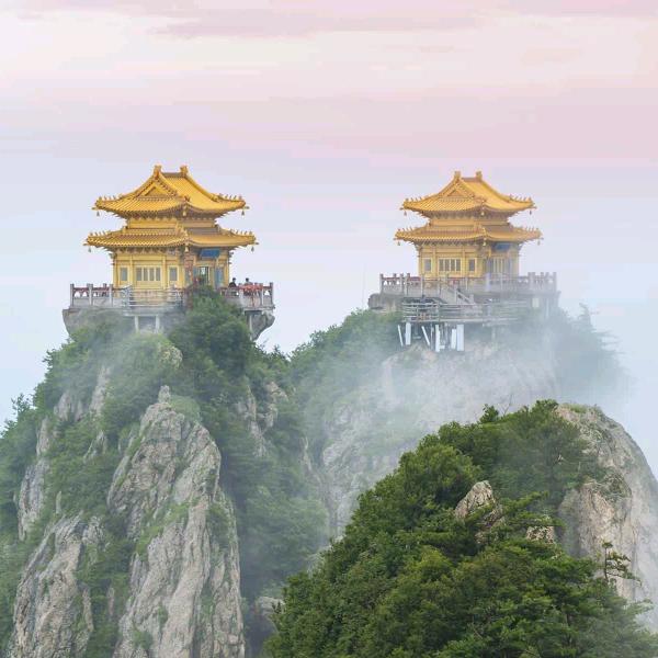 吃松鼠的小松塔