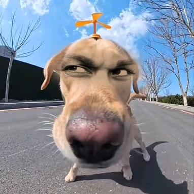 等退休的七海海