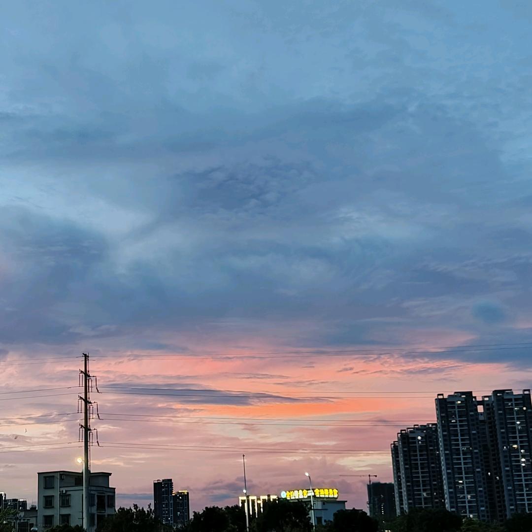 大LL.