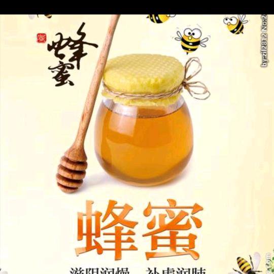 《张三蜂》