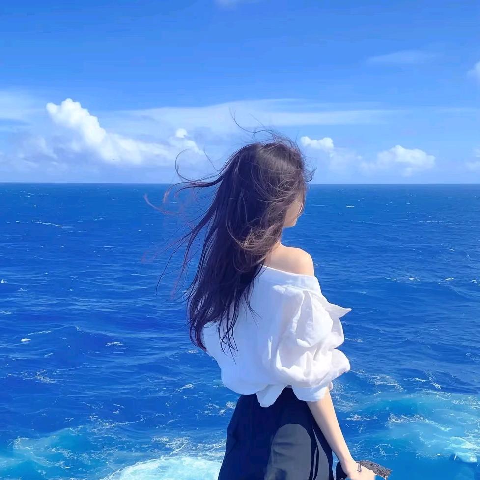 高占相伴晨樾运输铺子