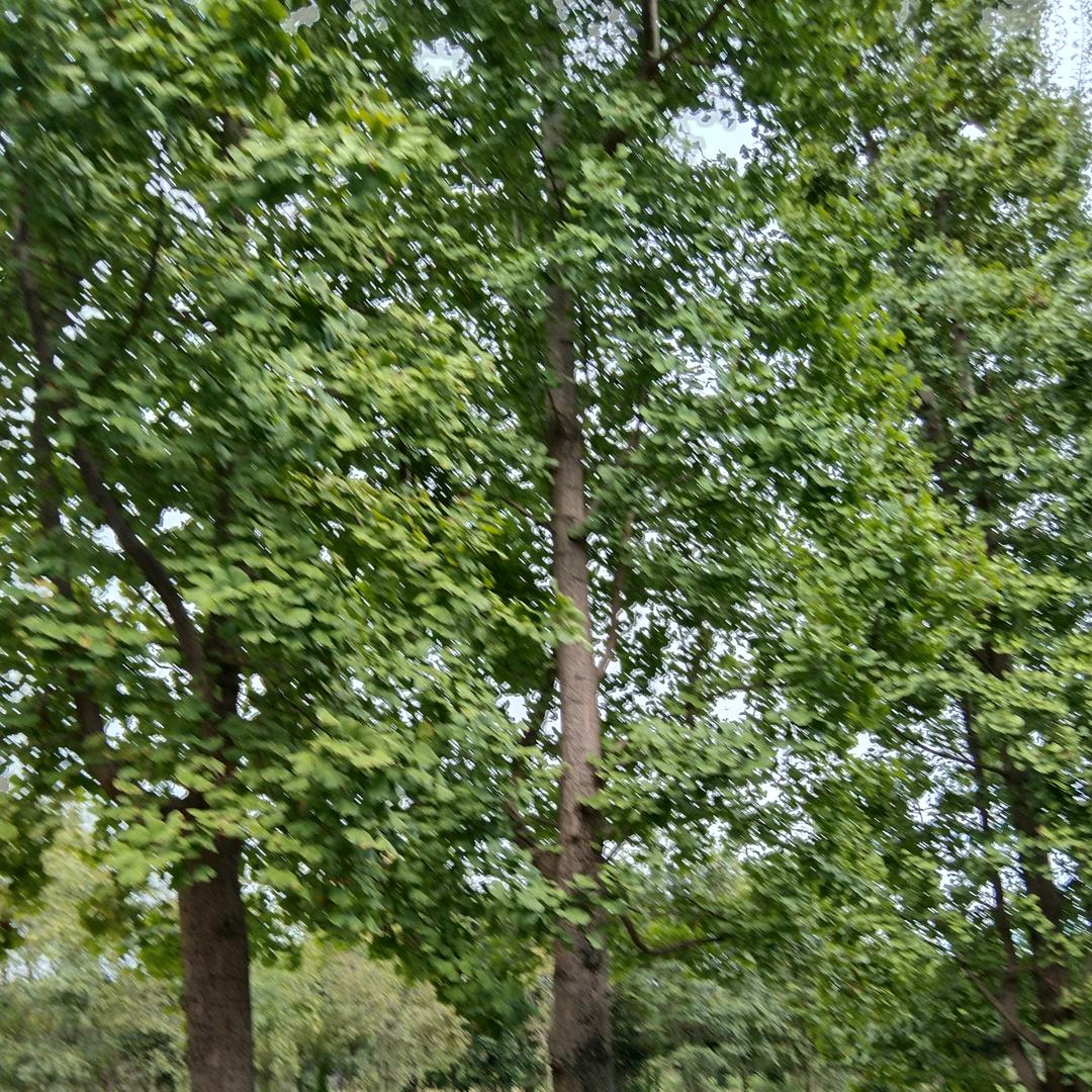 最熟悉的陌生人