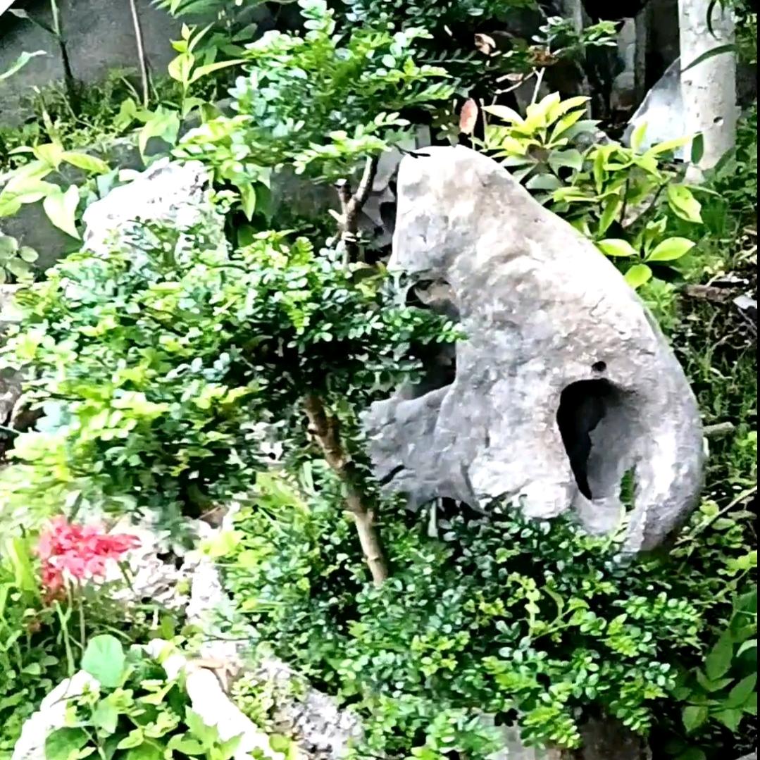 .春风.