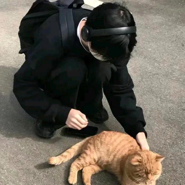 陈羡