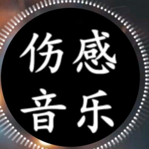伤感情歌🎤邢姐