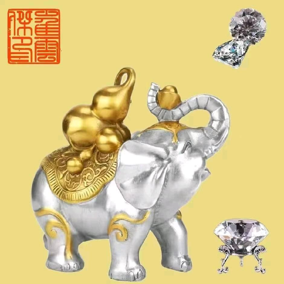 阿拉伯糖六宝分享