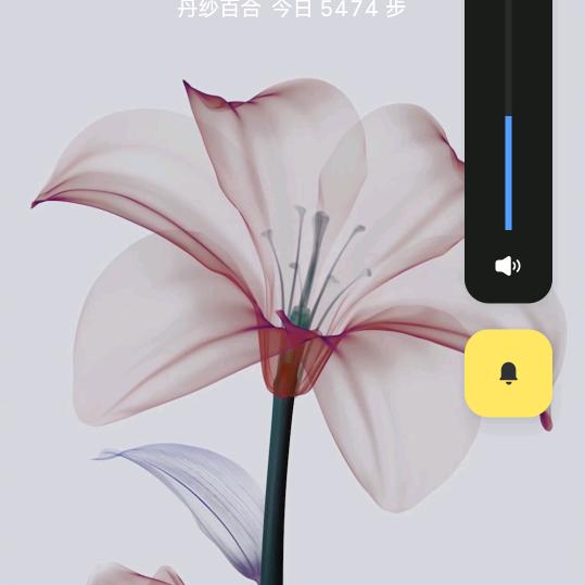 菊德雨