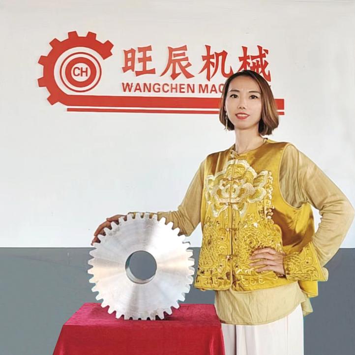 任丘齿轮链轮~旺辰