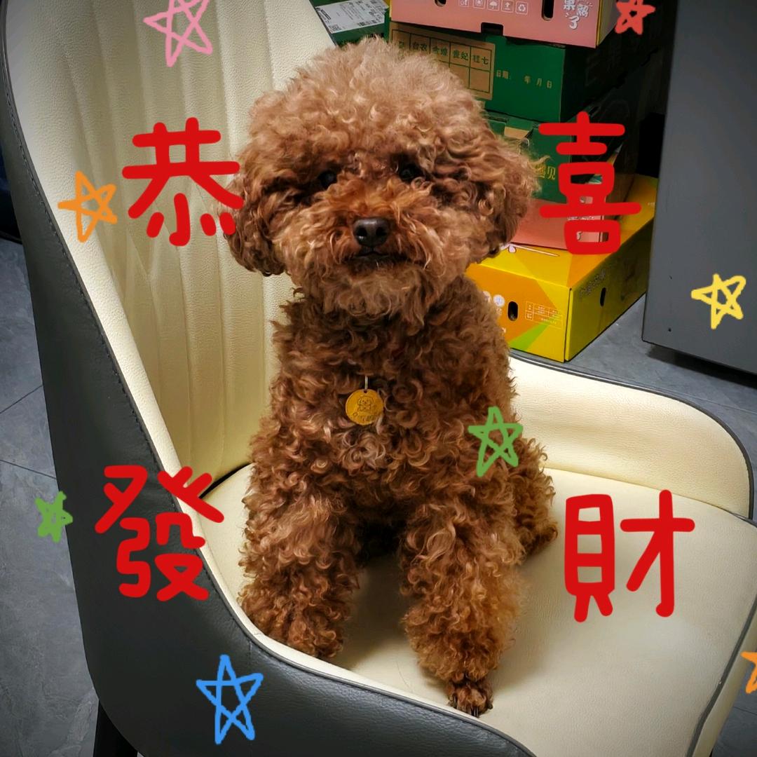 小樊（朱莉）💁🏻‍♀️