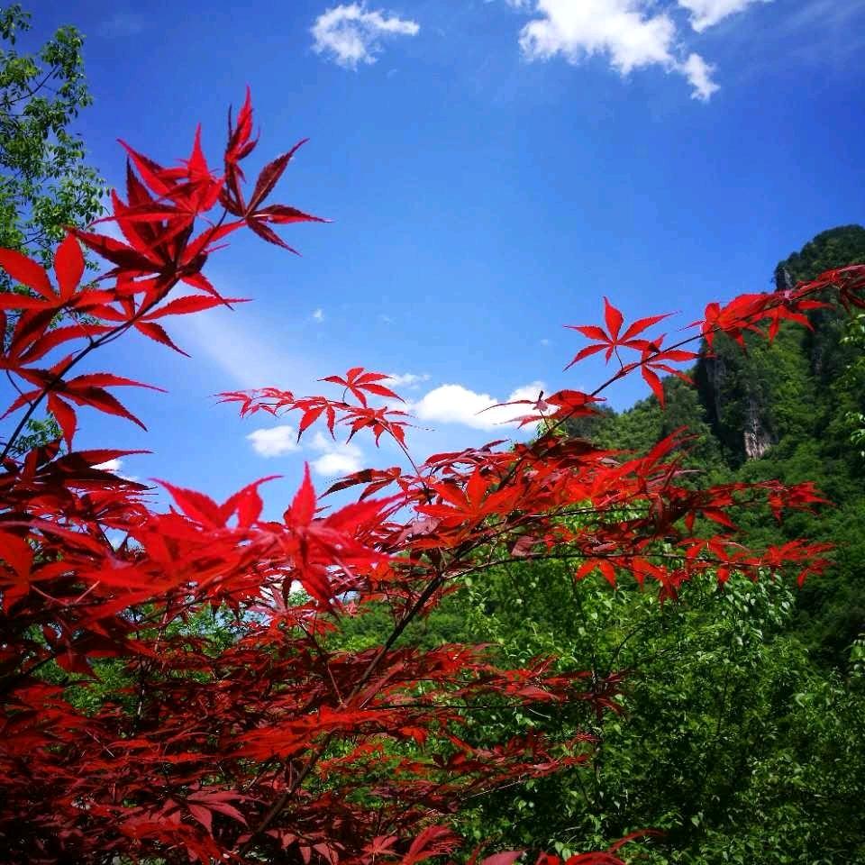 阳光灿烂照余生