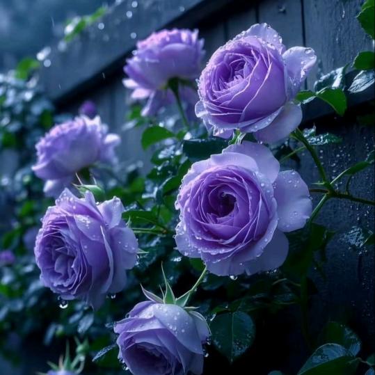 余荣，北门街百货商行，另承接各种红白酒席