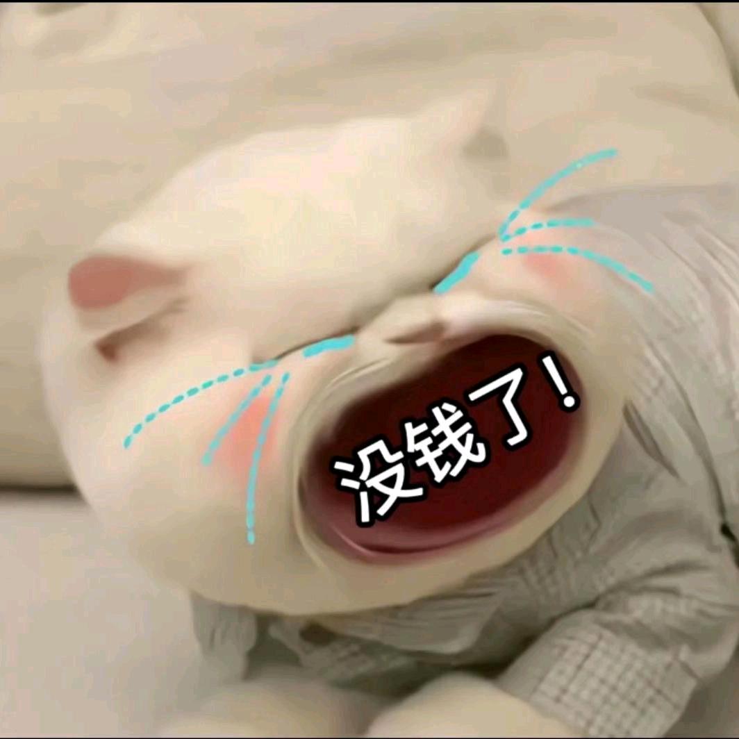 慕清辞