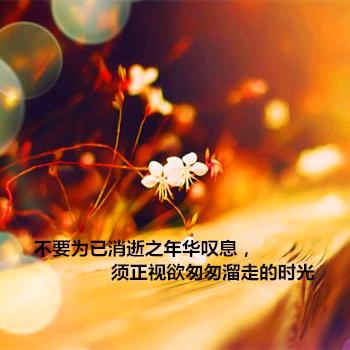 抬头就是阳光😊