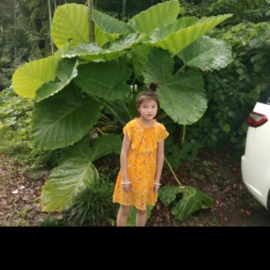 一江春水向东流