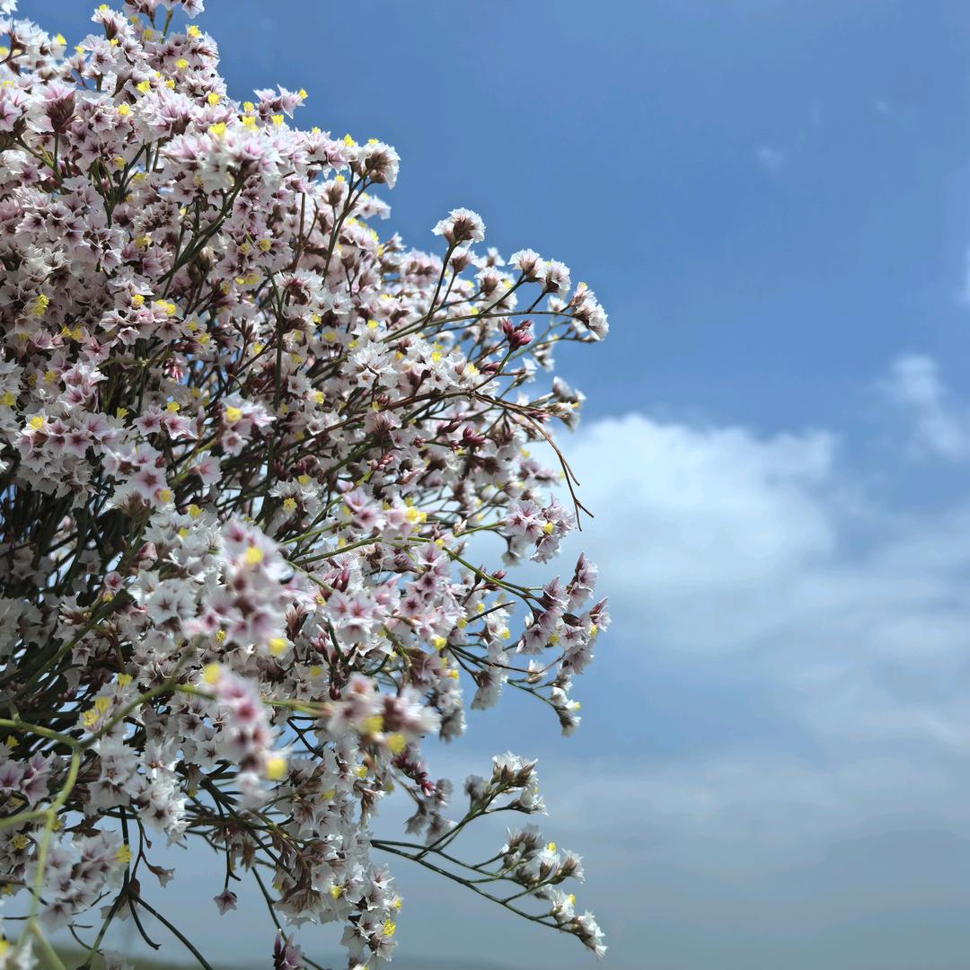 希希爱旅行