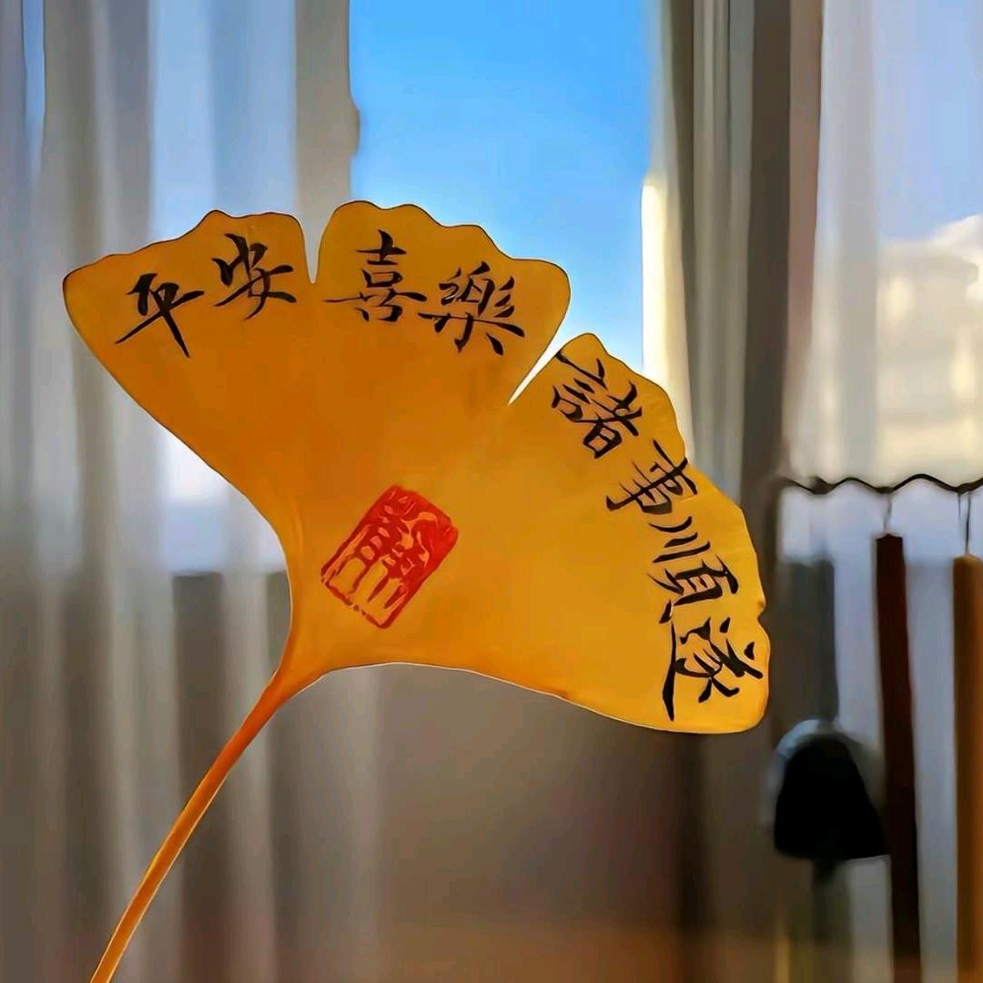 小丸子の杂货店❤️