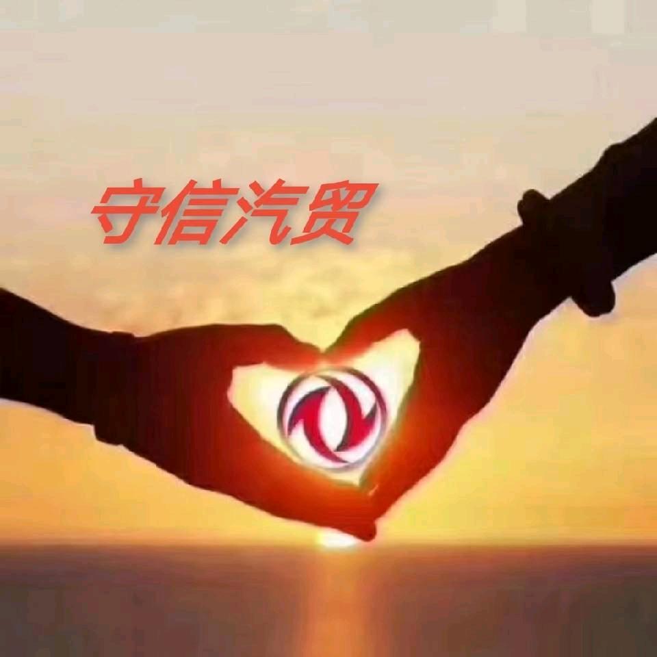 宁夏守信汽贸