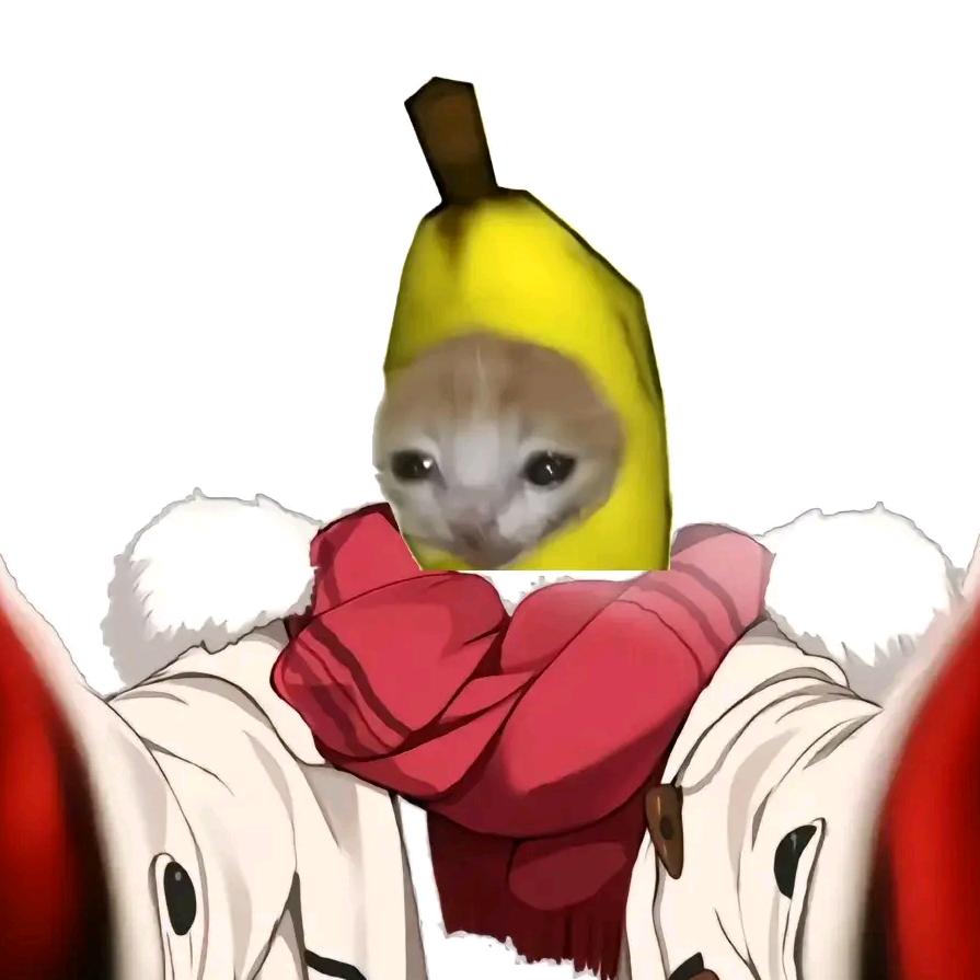小meme(专剪猫meme)