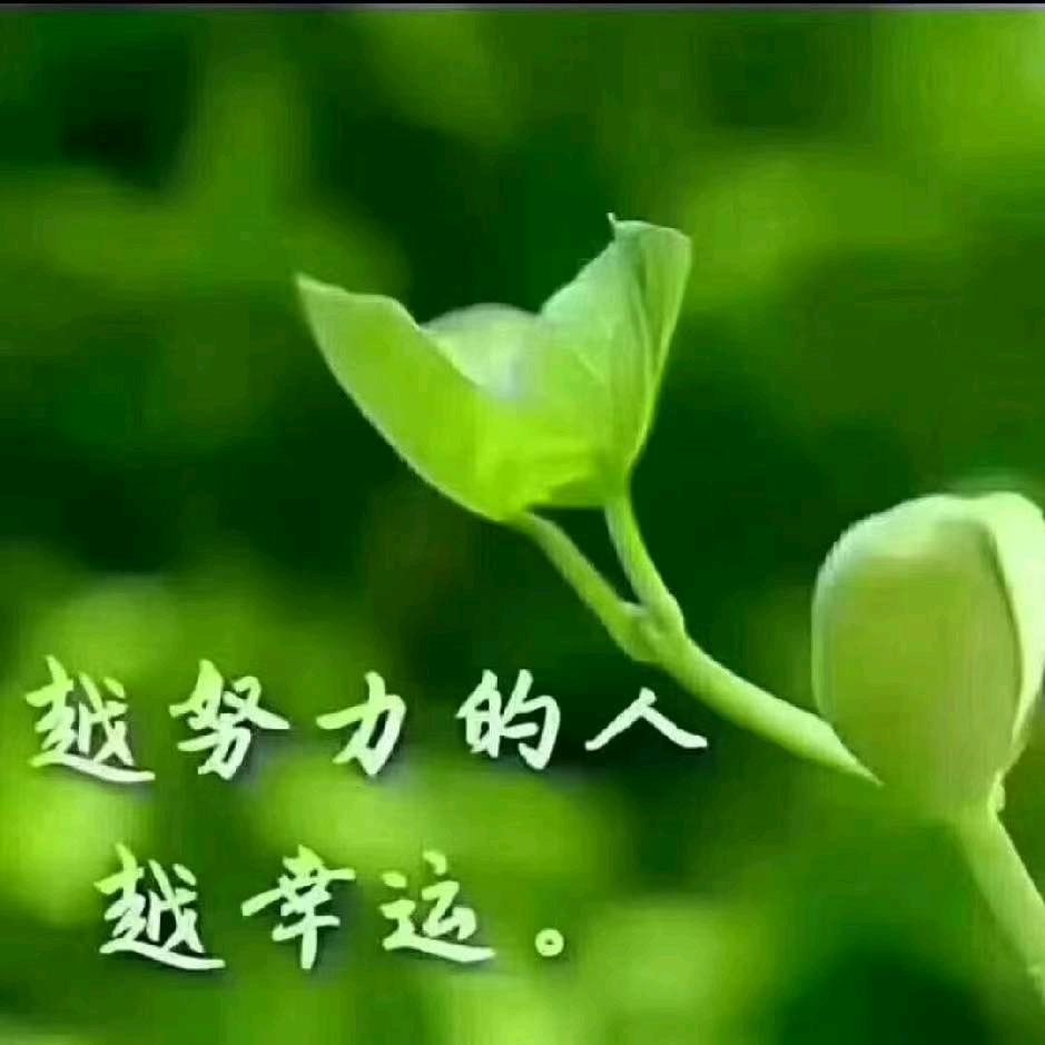 梅姐.