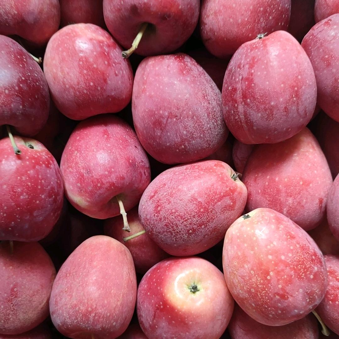 樱桃哥.水果代办