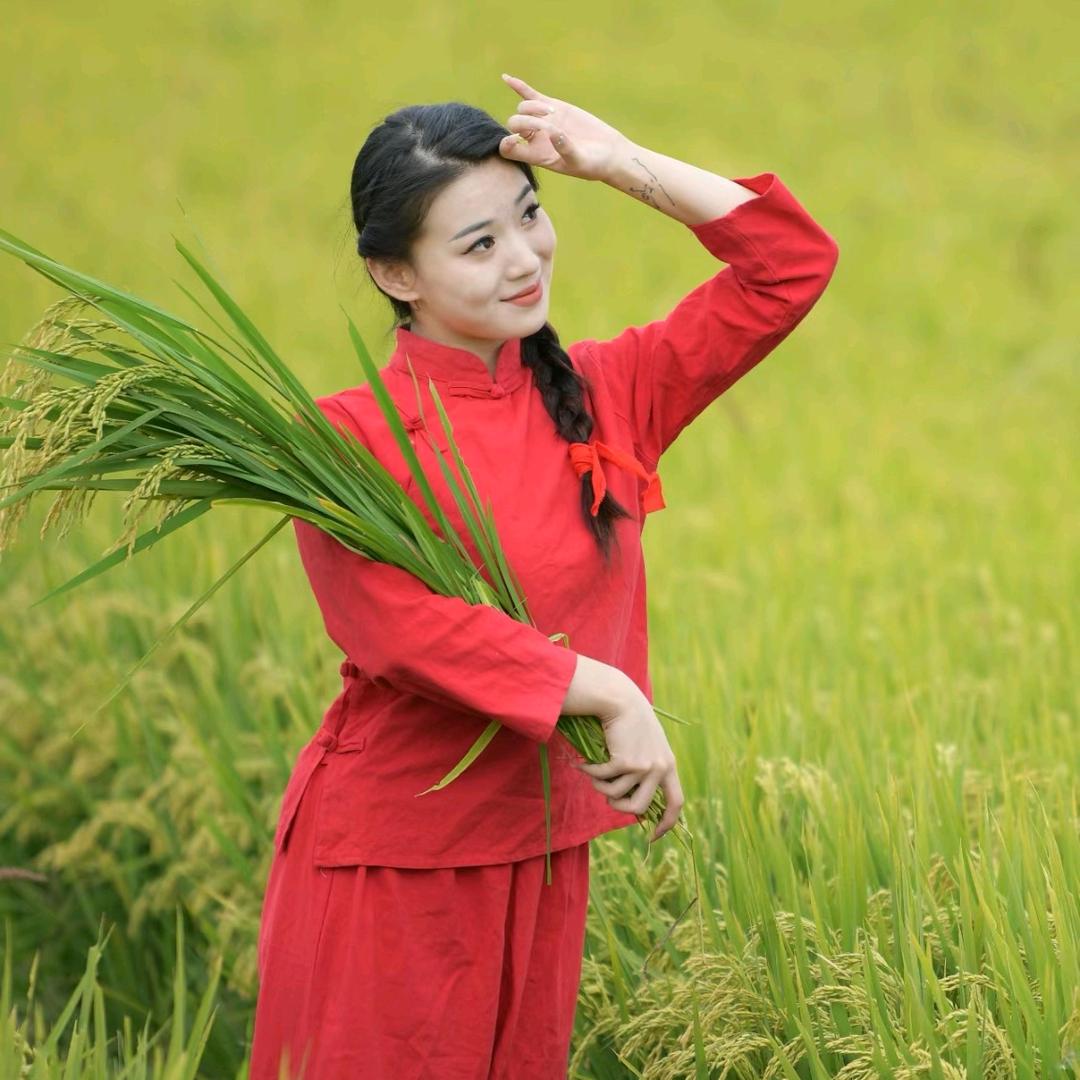 农资经销文文