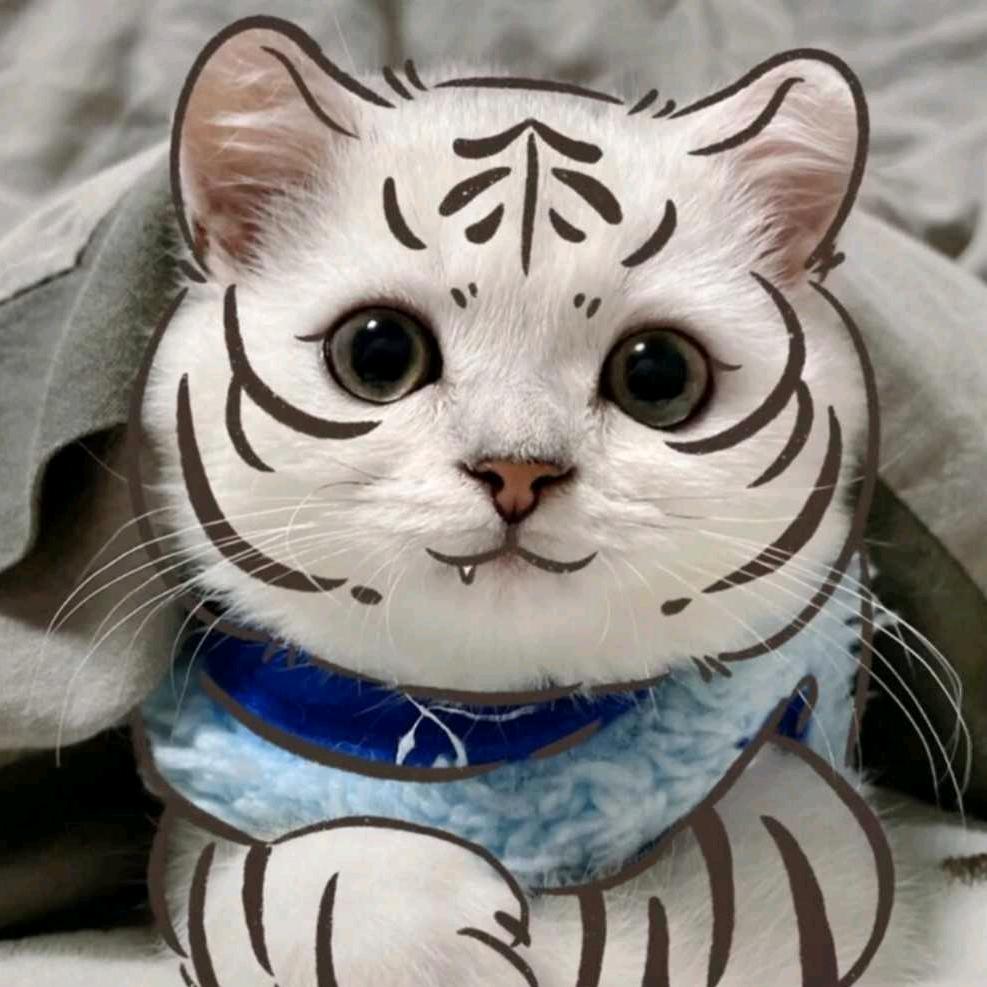 清欢ོ