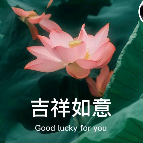 舒